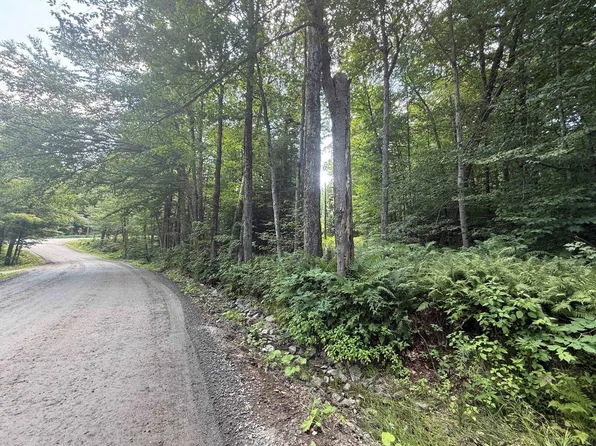 Penny Avenue, Stratton, VT 05155
