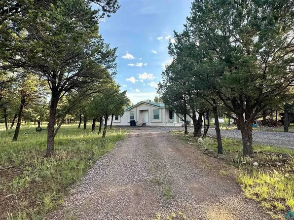 113 Largo Canyon Loop, Quemado, NM 87829