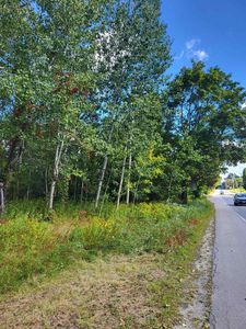 0 Main Street #TM 206/Parcels 20 & 21, Bethlehem, NH, 03574