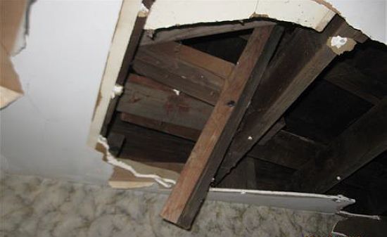 4th image of 1133 Siler St