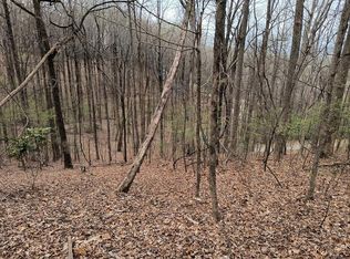 M99 Sleepy Hollow Rd, Ellijay, GA 30536