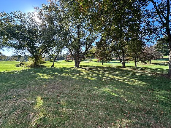 Summer back yard view