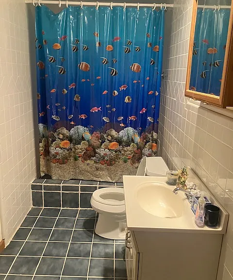 202 Holly Ridge Dr — Photo 12