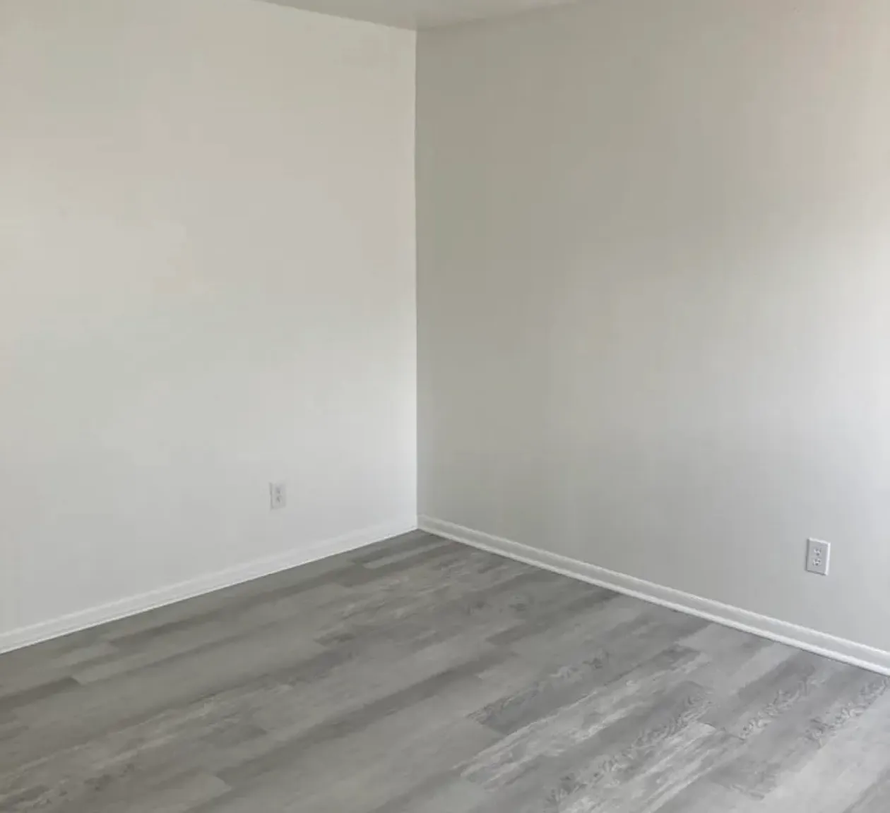 Ashlawn Apartment — Photo 3