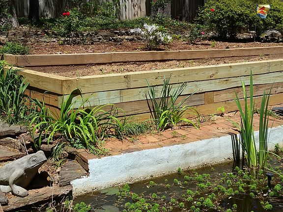 Fishpond and raised garden area