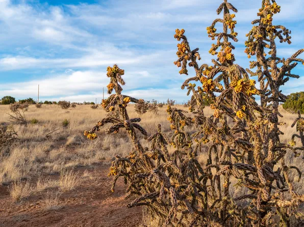 Sundog Dr, Santa Fe, NM 87508