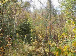 X43 Hansen Hjemsted Rd, Lutsen, MN 55612