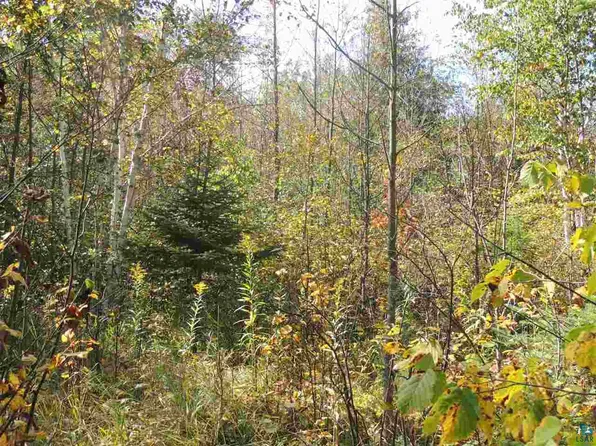 X43 Hansen Hjemsted Rd, Lutsen, MN 55612