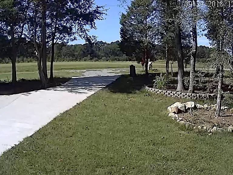 1641 Holly Creek Ln — Photo 6