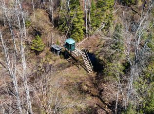 Trowbridge Trl, Wolverine, MI 49799