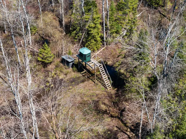 Trowbridge Trl, Wolverine, MI 49799
