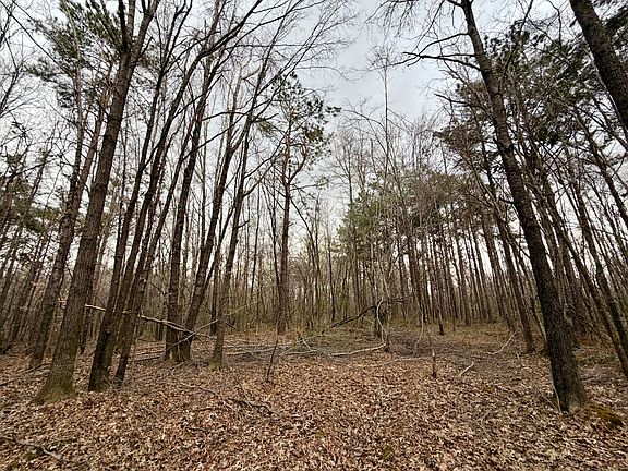 2nd image of County Road 106