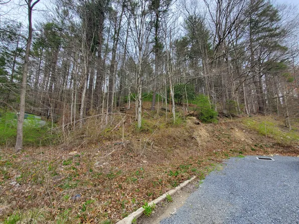 0 Off Us Hwy #19E, Roan Mountain, TN 37687