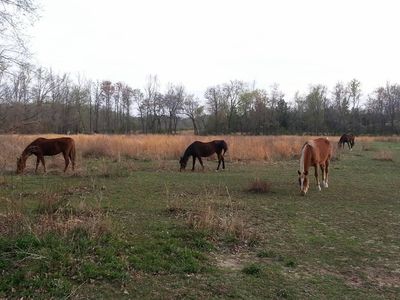 1230 Bethel Rd, Smithville, TN, 37166