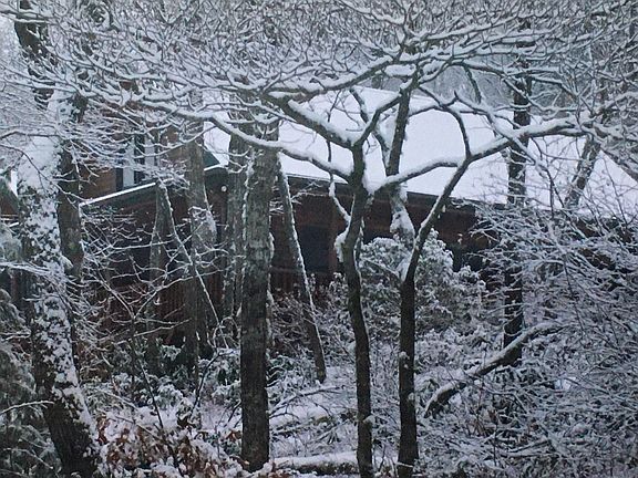 Wintertime Splendor