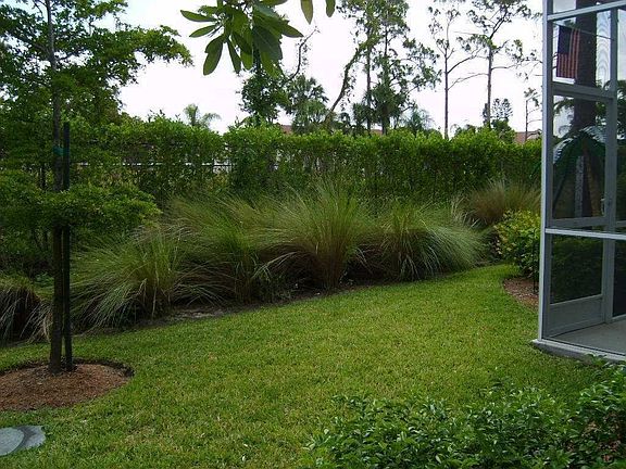 PRIVATE WOODED BACK YARD