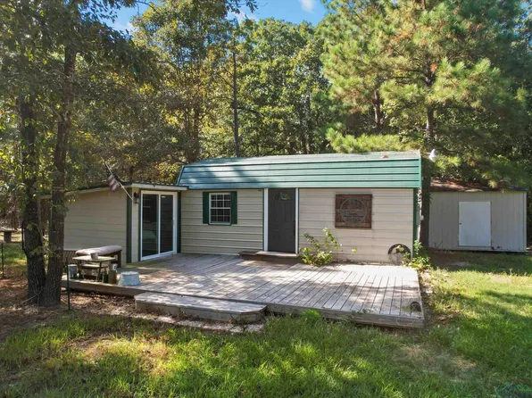 313 County Road 4421, Pittsburg, TX 75686