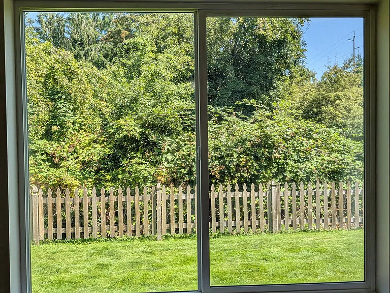 View of yard from dining room