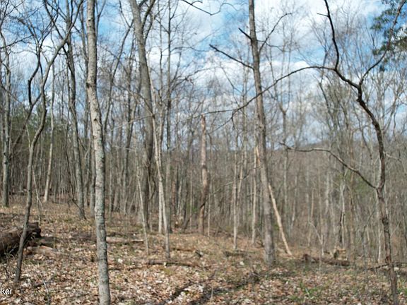 4th image of 0 Fox Trail Rd