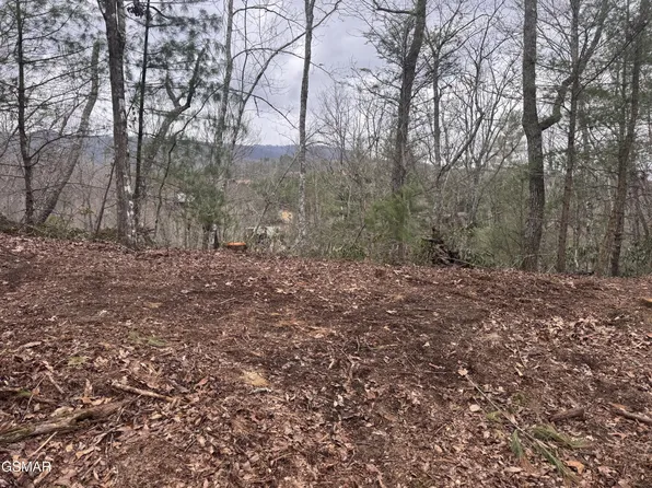 2821 Cedar Falls Way Lot 73, Sevierville, TN 37862