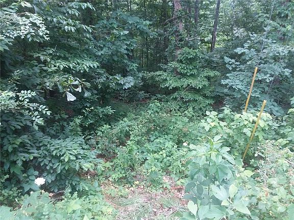 2nd image of Sudbury Ln