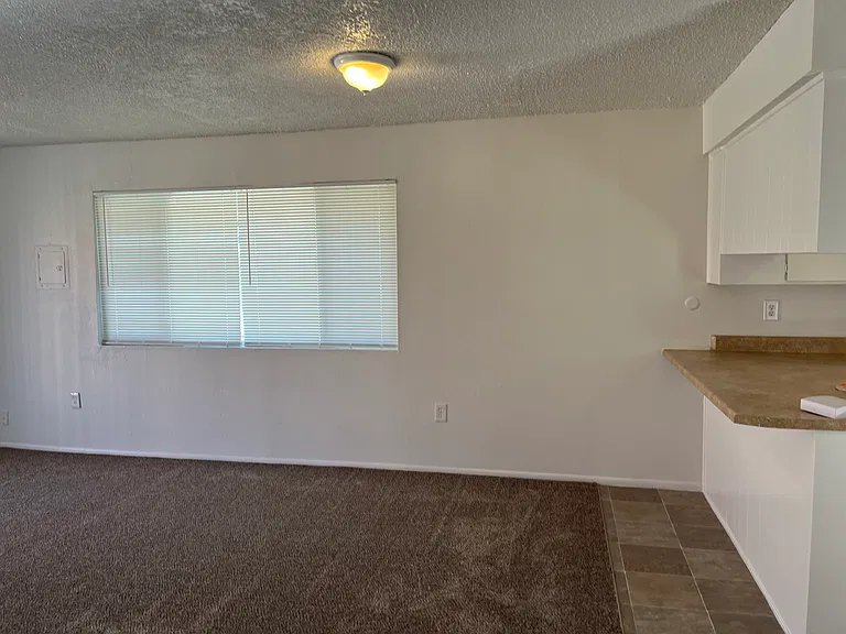 Updated 2 Bed Apt. W/ Large Yard in the NE Heights — Photo 32