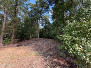 21 Hannah Dr LOT 21, Chocowinity, NC 27817