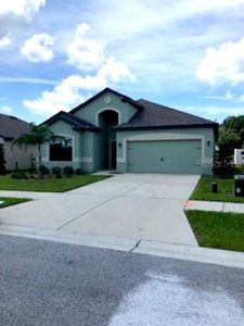 819 Laurel View Way, Groveland, FL, 34736