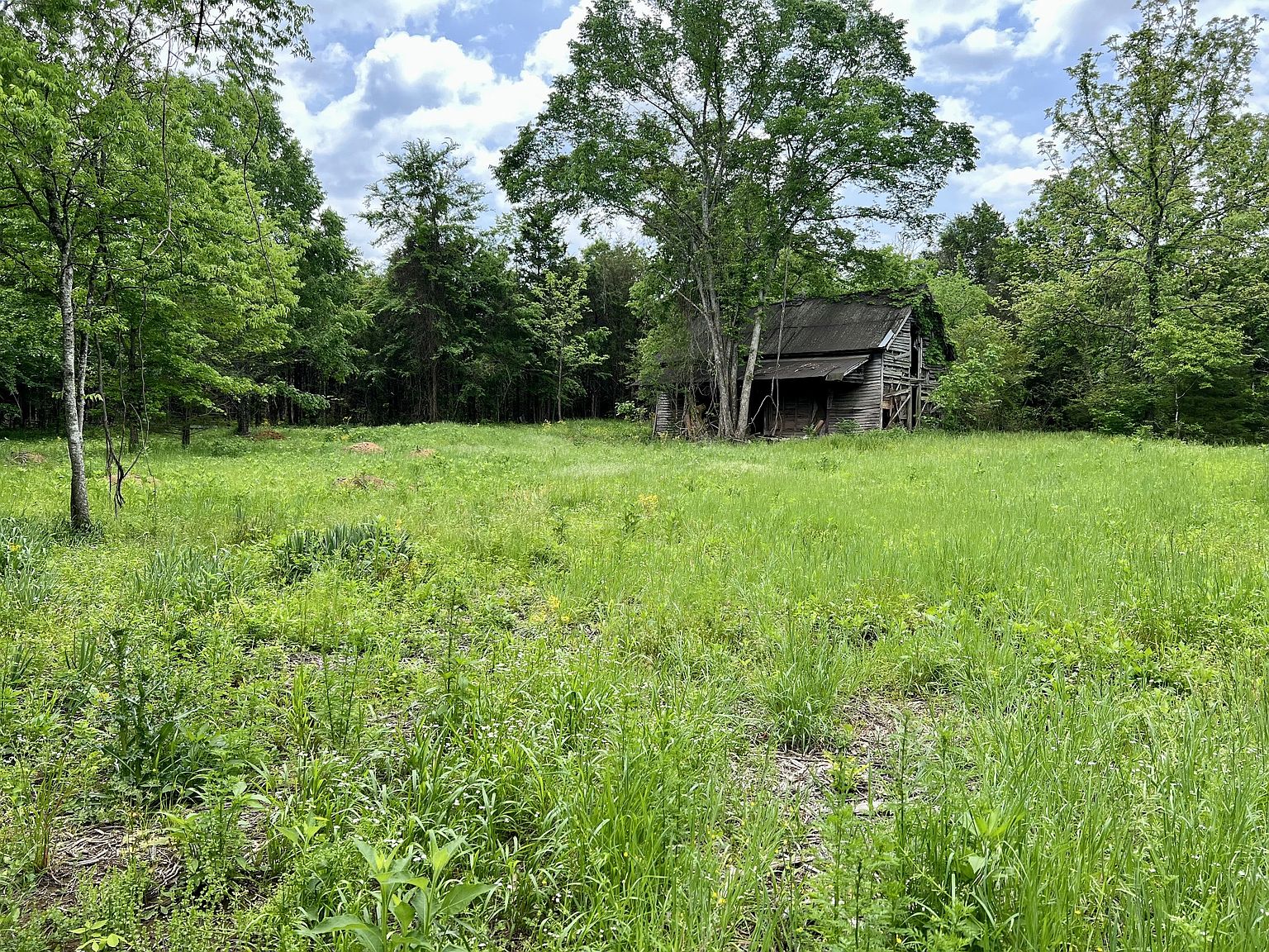 2204 Holly Grove Rd, Lewisburg, TN 37091 Zillow