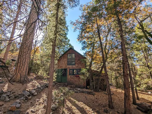 141 Barton Flats Rd, Angelus Oaks, CA 92305