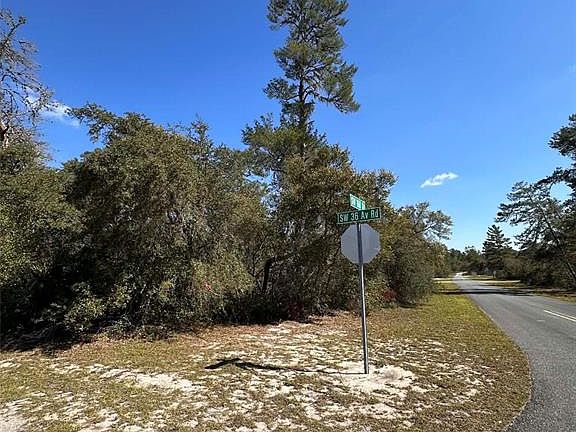 4th image of 0 SW 36th Avenue Rd #9
