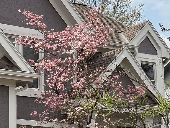 2nd image of 8503 W 128th St
