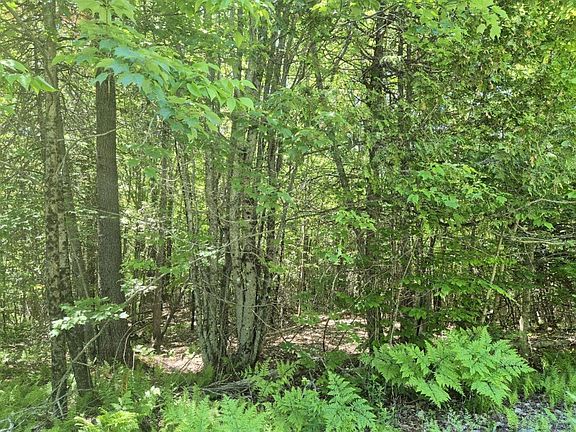 3rd image of MU23 L19B Holley Road