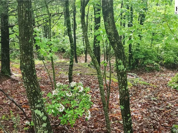 tbd Flat Mountain Road, Lenoir, NC 28605