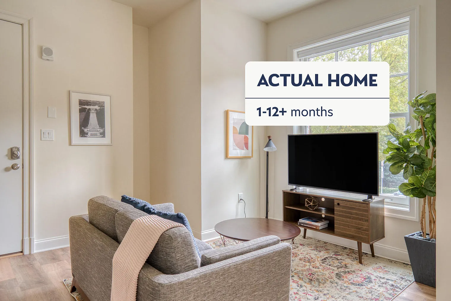 1 bed, 1.0 bath, 445 sqft, $2,090 — Photo 1