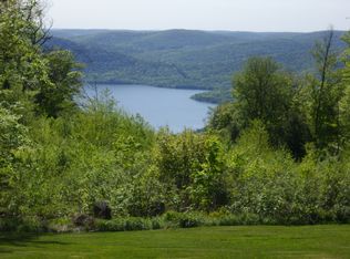 1164 Tower Ln, Walton, NY 13856