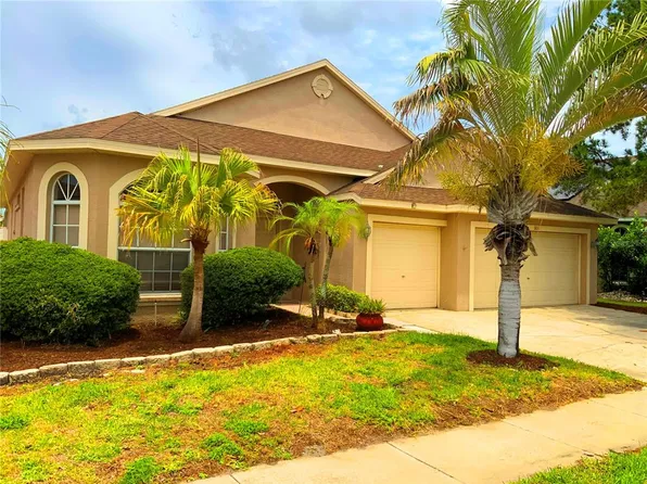 1805 Wood Bend St, Tarpon Springs, FL 34689