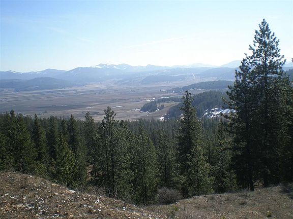 5th image of 26XX Pine Top Way