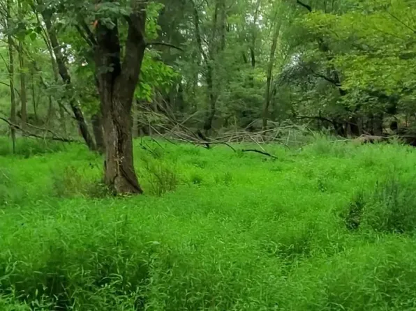 0 Mountain Ave, Matamoras, PA 18336