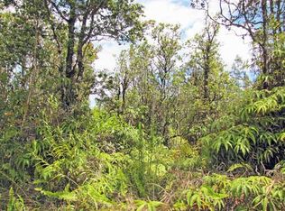 Hibiscus Street Lot 7299, Mt View, HI 96771