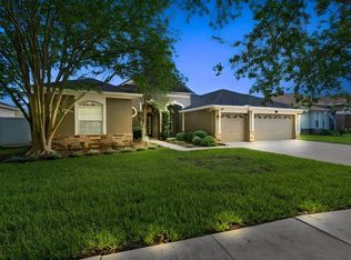 3820 Misty Landing Dr, Valrico, FL 33594
