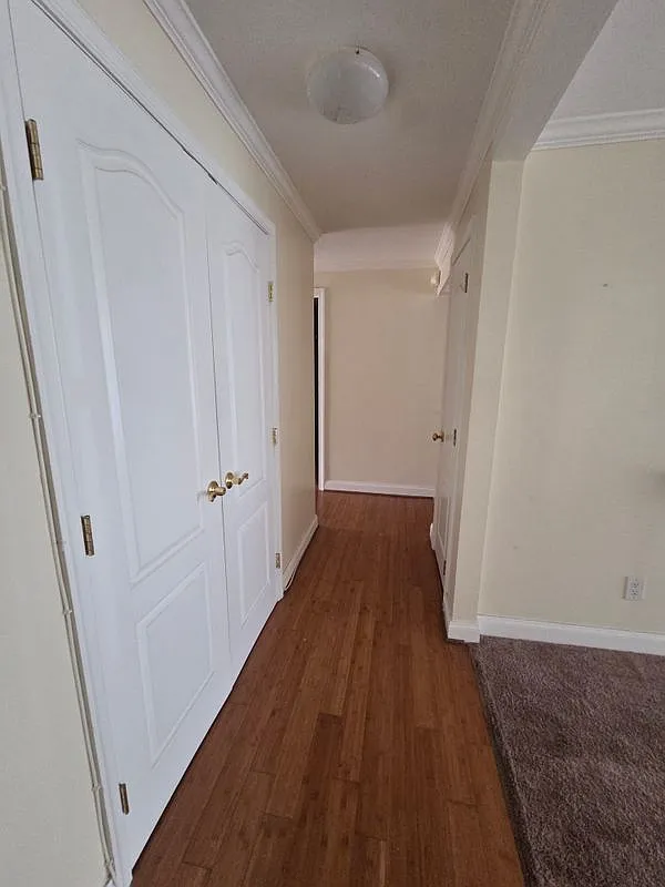 2 bed, 1.0 bath, 1031 sqft, $2,195 — Photo 3