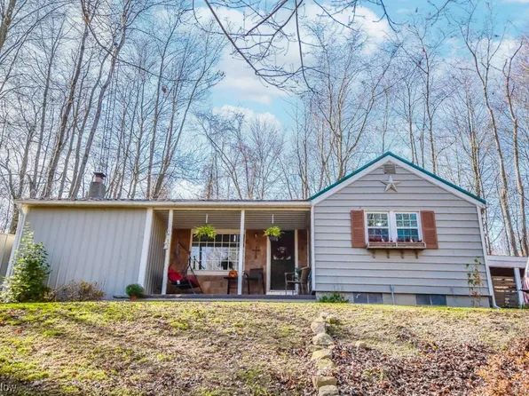 4101 Tunnel Hill Ave SE, Minerva, OH 44657
