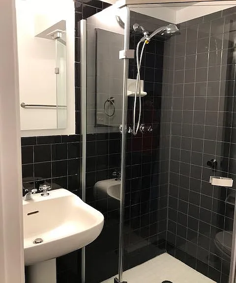 Black and white bathroom with shower.
