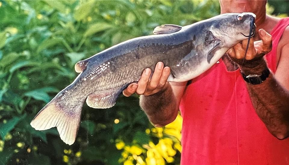 19110 S 2075th Rd, Fair Play, MO 65649 Zillow