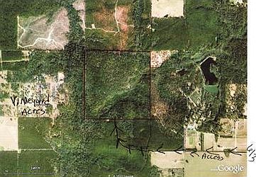1st image of 160 Acres Pineview Nursery Road