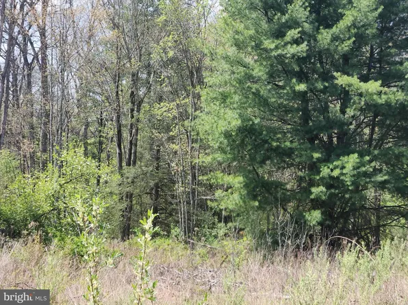 5 Fickes Rd, Imler, PA 16655