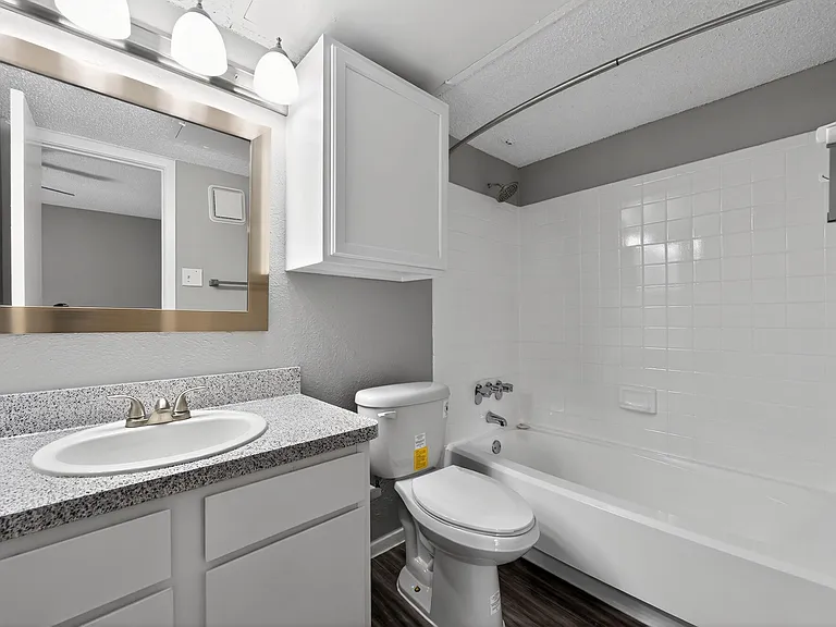 One Bedroom, One Bathroom Apartment