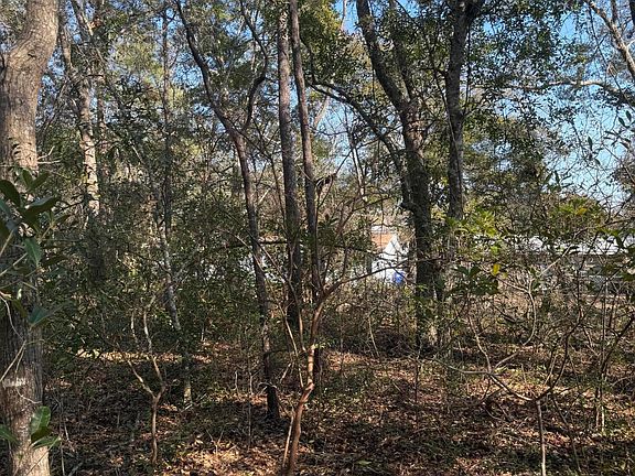 3rd image of 108 NW 3rd St Lot 75