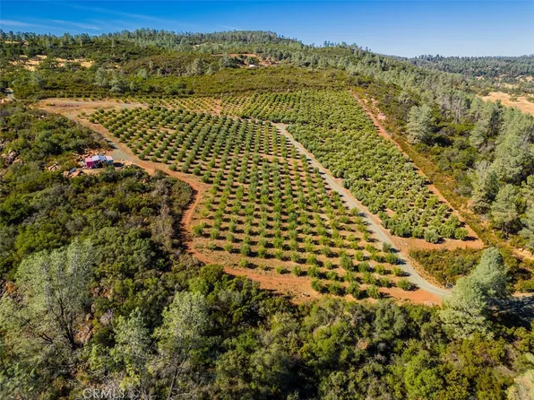 21715 Jerusalem, Middletown, CA 95461